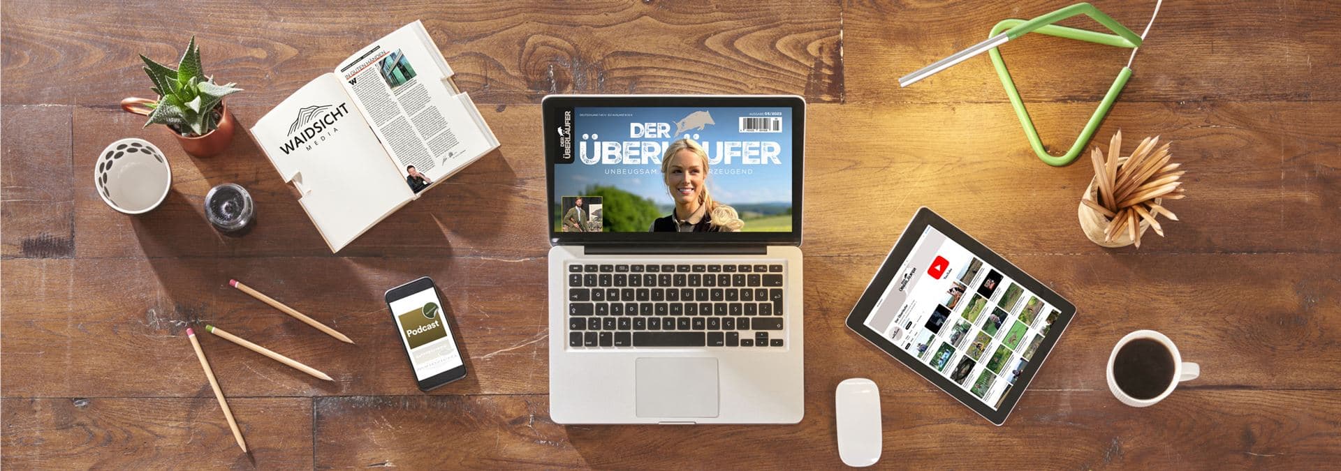 Waldmotiv Header Mediadaten